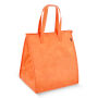 Koeltas R-PET van non-woven materiaal 33 x 25,5 x 37 cm